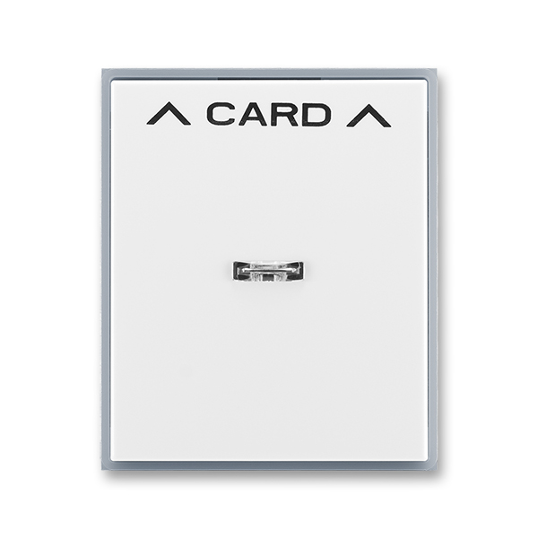 3559E-A00700 04  Kryt spínače kartového, s čirým průzorem, s potiskem, bílá / ledová šedá